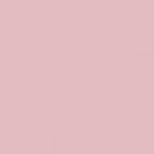 RAL 010 80 15 (P) Rosa gelo vibrante