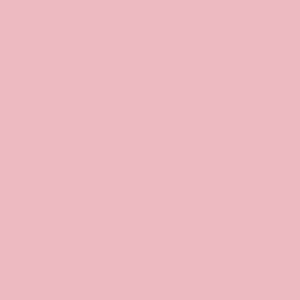 RAL 010 80 20 (P) Rosa Pastel